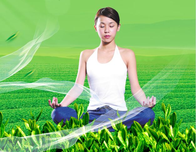 菏泽学院毕业证丢了怎么办